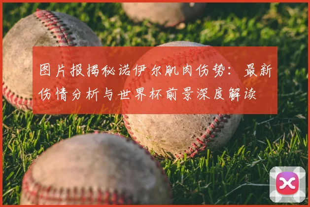 图片报揭秘诺伊尔肌肉伤势：最新伤情分析与世界杯前景深度解读