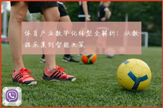 体育产业数字化转型全解析：从数据采集到智能决策